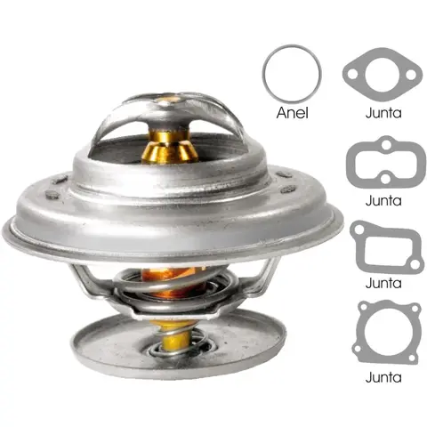 Válvula Termostática para MB L1111 L312 LP321