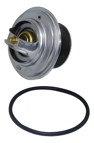 Válvula Termostática para MB L1113 L1313 L1620
