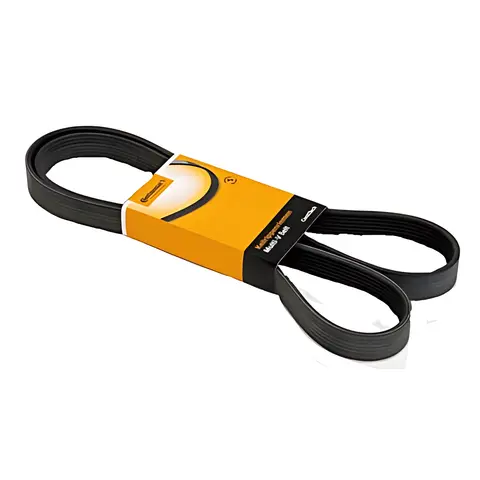 Correia Automotiva Multi V