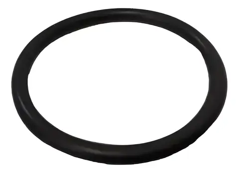 Anel Vedação Flange MB Atego 2423 2438 OF1721