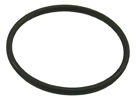 Oring Vedação VW Constellation 17280 24280