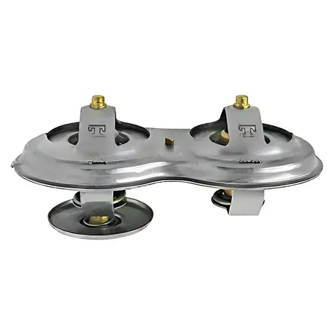 Válvula Termostática para Scania T113 K124 P124