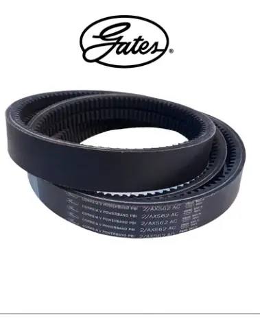 Correia Dupla Gates Medida Especial