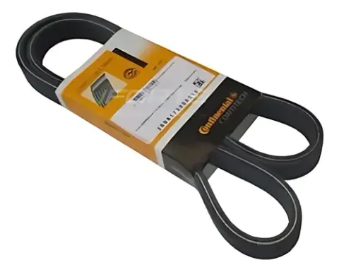 Correia Multiv Original Medida Esp