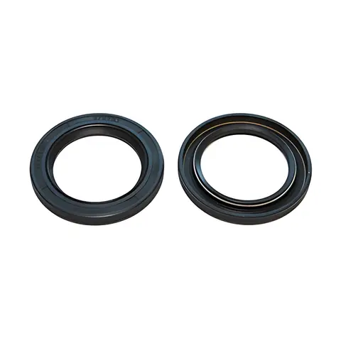 Retentor Válvula para Volvo D13 Renault Dxi