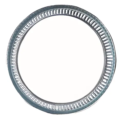 Anel ABS Traseiro para Volvo FH12 FM12 NH12 FH16