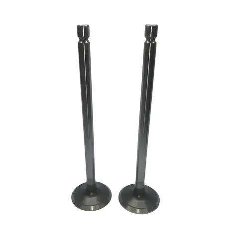 Válvula Escape para Ford Cargo 1317 1519 1719