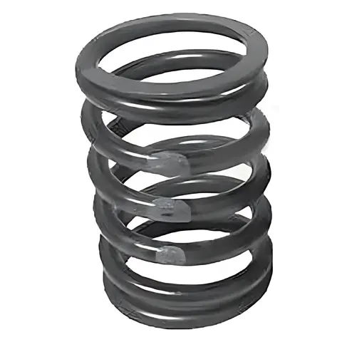 Mola Válvula para Ford F1000 F4000 MWM 229