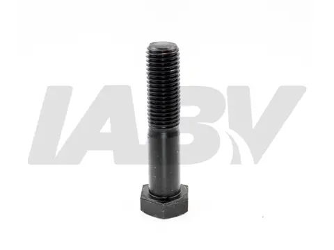 Parafuso Cabine para VW Worker 17250E