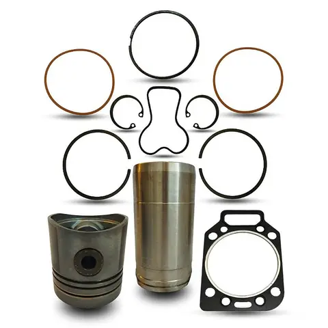 Kit Motor MWM 229 Asp para Ford F1000 F4000