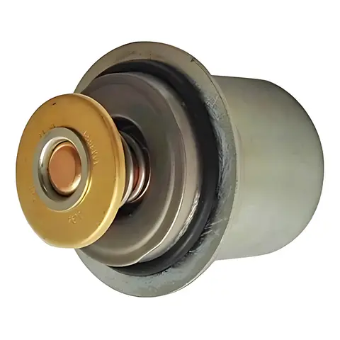 Termostática para Ford 4432E 2632E 1933 VW 17320
