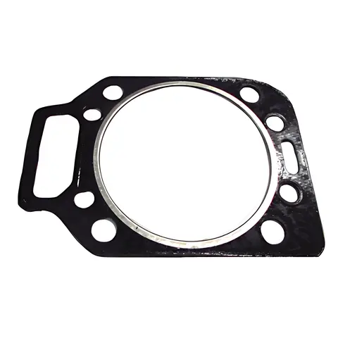 Junta Cabeçote para Ford F1000 F4000 MWM 229