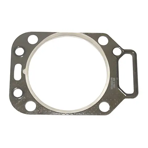Junta Cabeçote MWM X10 para Volvo para Ford