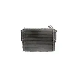 Intercooler para MB Accelo 815 915C 1016