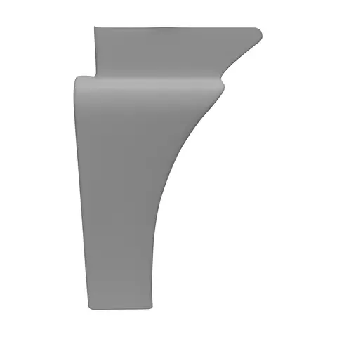 Acabamento Paralama LD VW MAN TGX 28440 29440