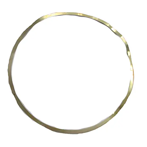 Anel Ajuste para Iveco Stralis Cursor 330