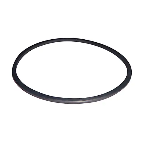 Anel Bomba Injetora para Ford VW 1722 24220 6CTAA