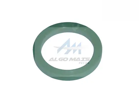 Anel Bomba Óleo para Volvo FH FM Fmx B9R