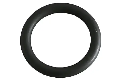 Anel de Vedação do Resfriador MAN