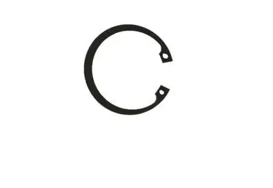 Anel Embreagem VW Constellation 17320 24320