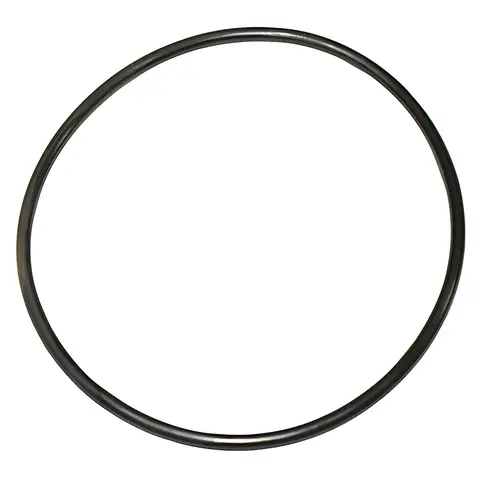 Anel Filtro VW Worker 13150 13180 15180 17210 MWM