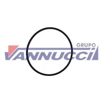 Anel Oring Filtro Óleo para Volvo FH4 FM4 B13R