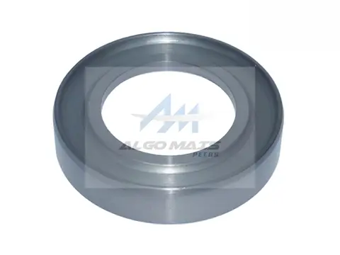 Anel Pista Cubo para Iveco Stralis Eurotech