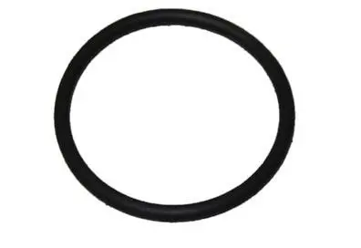 Anel Respiro Cárter para Ford Cargo 3133 3132