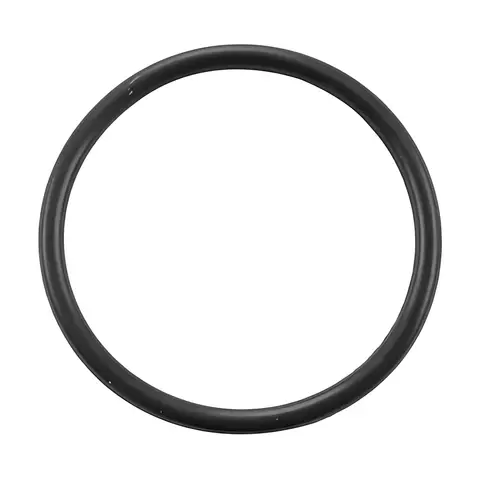 Anel Sensor Rotação para Ford Cargo 815E 1717E