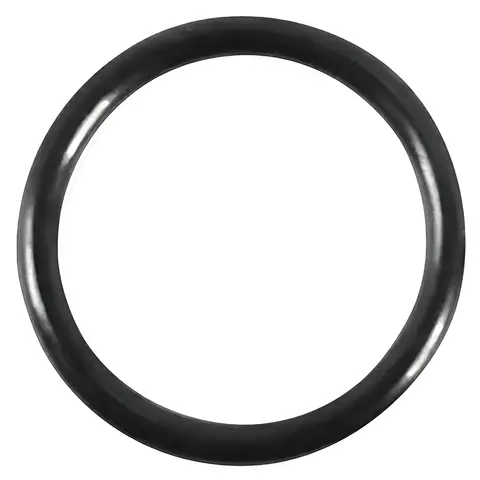 Anel Vedação Bomba Injetora VW 24320 para Ford