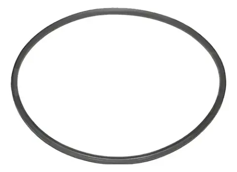 Anel Vedação Câmbio ZF 16S 221