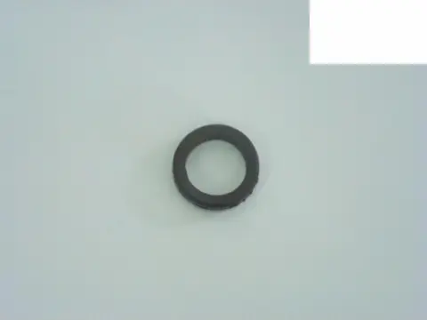 Anel Vedação Termostato para Volvo FH NH FM