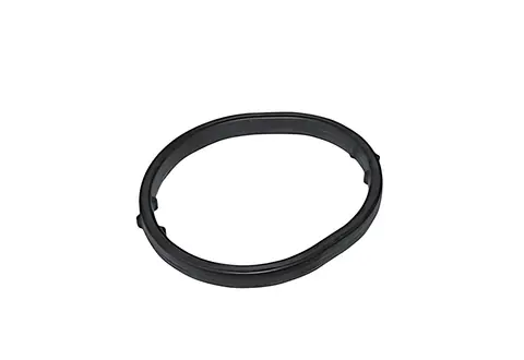 Anel Vedação VW Constallation 17280 24280