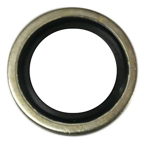 Anel Vedador para Ford Cargo MB L1622