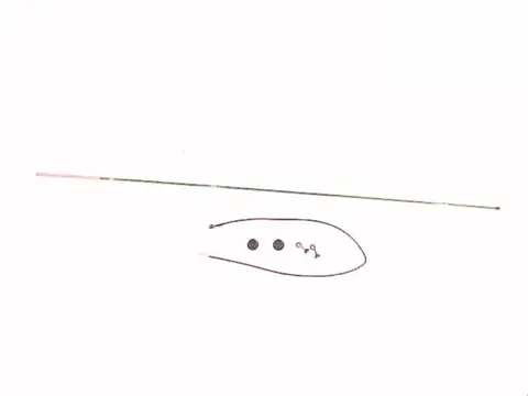 Antena Px Verde 1,60M para Caminhão MB