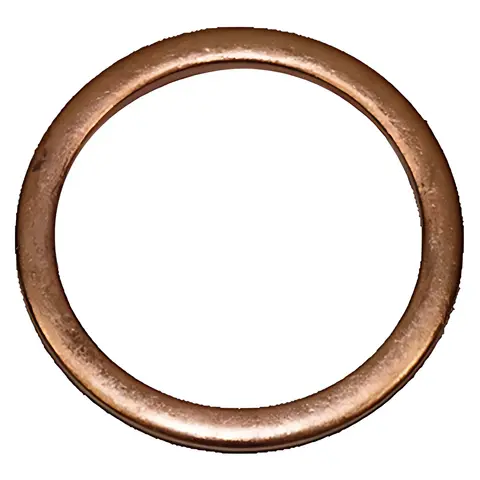 Arruela Vedação para Ford 815 1622 VW 17210 24220