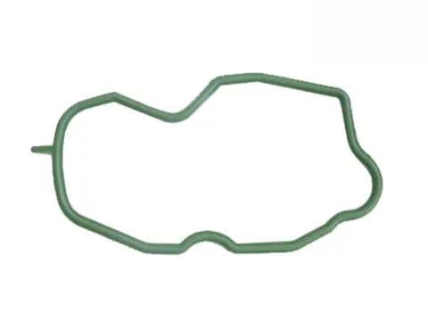 Borracha Tampa Válvula Inf Série 5 Verde BRC