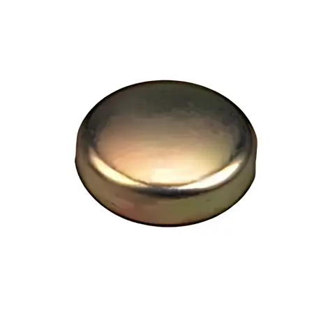 Bujão Bloco para Ford Cargo 815 1317