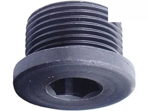 Bujão Câmbio ZF Titan 18310 Constelattion 18320E