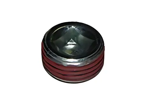 Bujão Roscado para Ford Cargo 2422 2425
