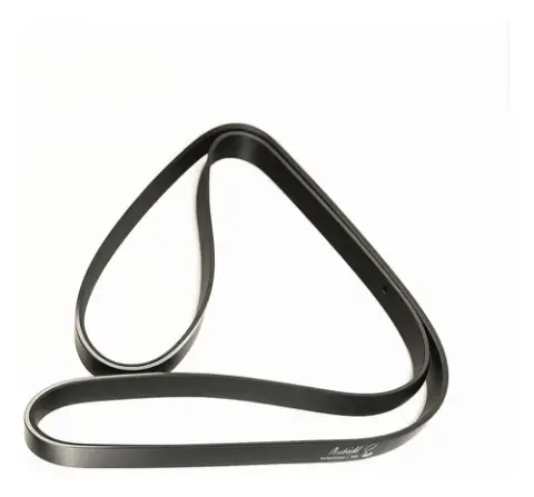 Correia para Scania R 142 T 142