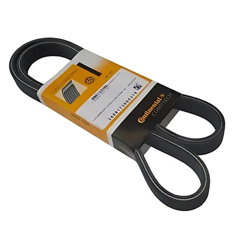Correia Poly V Medida Especial Continental C