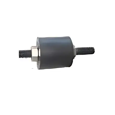 Coxim Para-choque para Iveco Stralis Tector