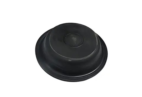 Diafragma Freio 16 para Ford Cargo 712 815E