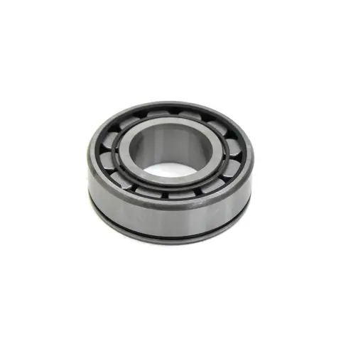 Rolamento (1305088) Rolete Ford/VW