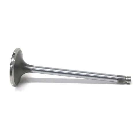 Válvula Admissão 60GR VW/Ford Motor