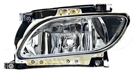Farol Auxiliar Esquerdo Vidro para DAF