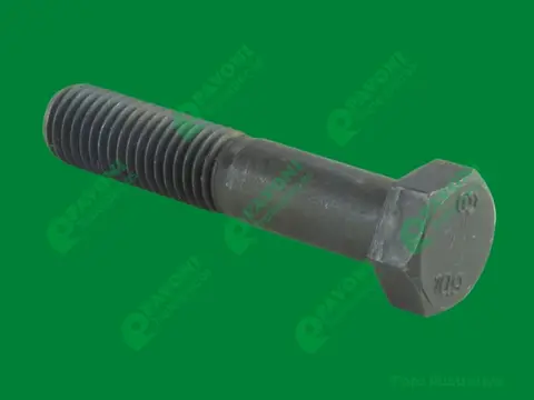Paraf Sext. M18x2,50x100MM 10.9 Rp