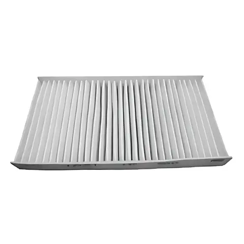 Filtro Ar Cond Duplo VW Constellation 24250E