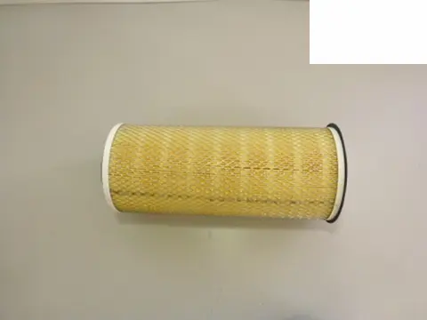 Filtro Ar para Ford 814 815C F12000 F14000HD
